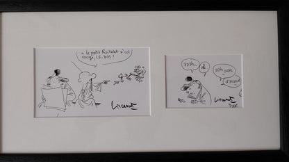 LE SENS DE LA VIS - Le Roitelet